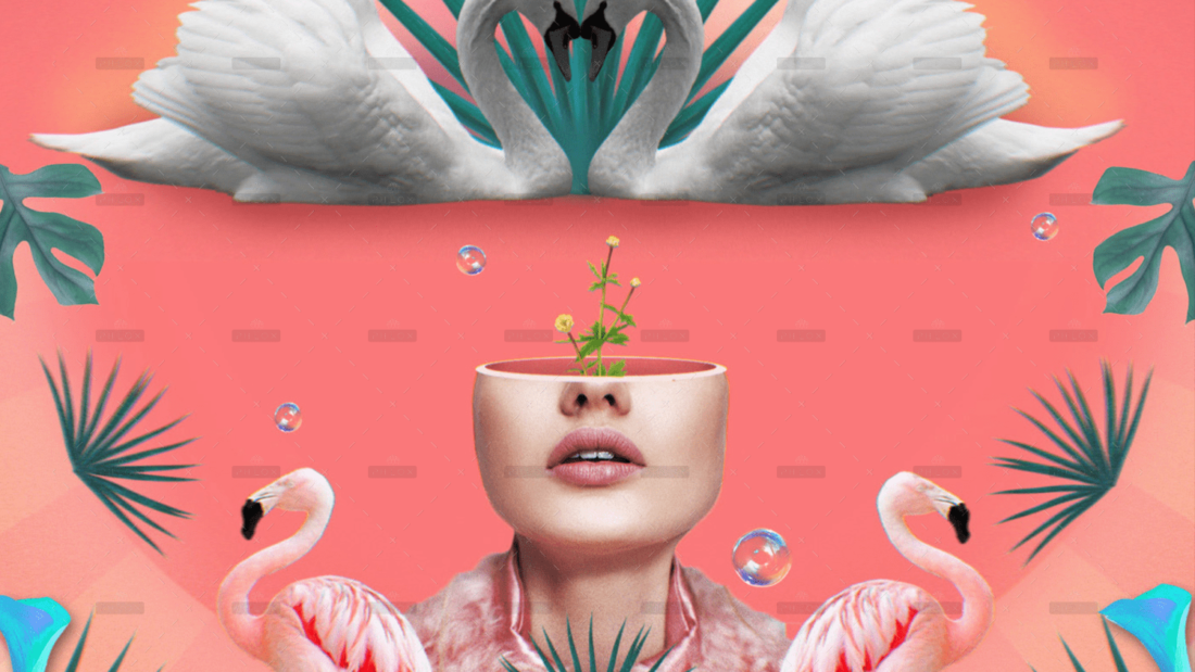 demo-attachment-2638-6